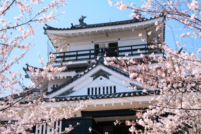 家族で楽しめる浜松城