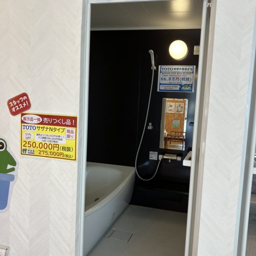 サザナNタイプ　写真
